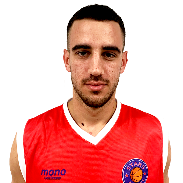 Давид Гајић